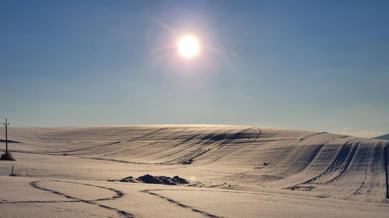 Vila Doliny Konská Exteriör bild