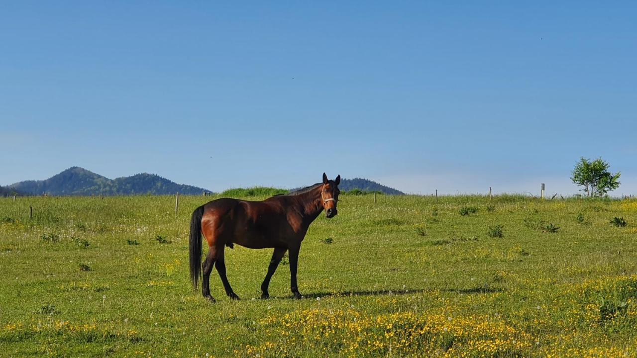 Vila Doliny Konská Exteriör bild