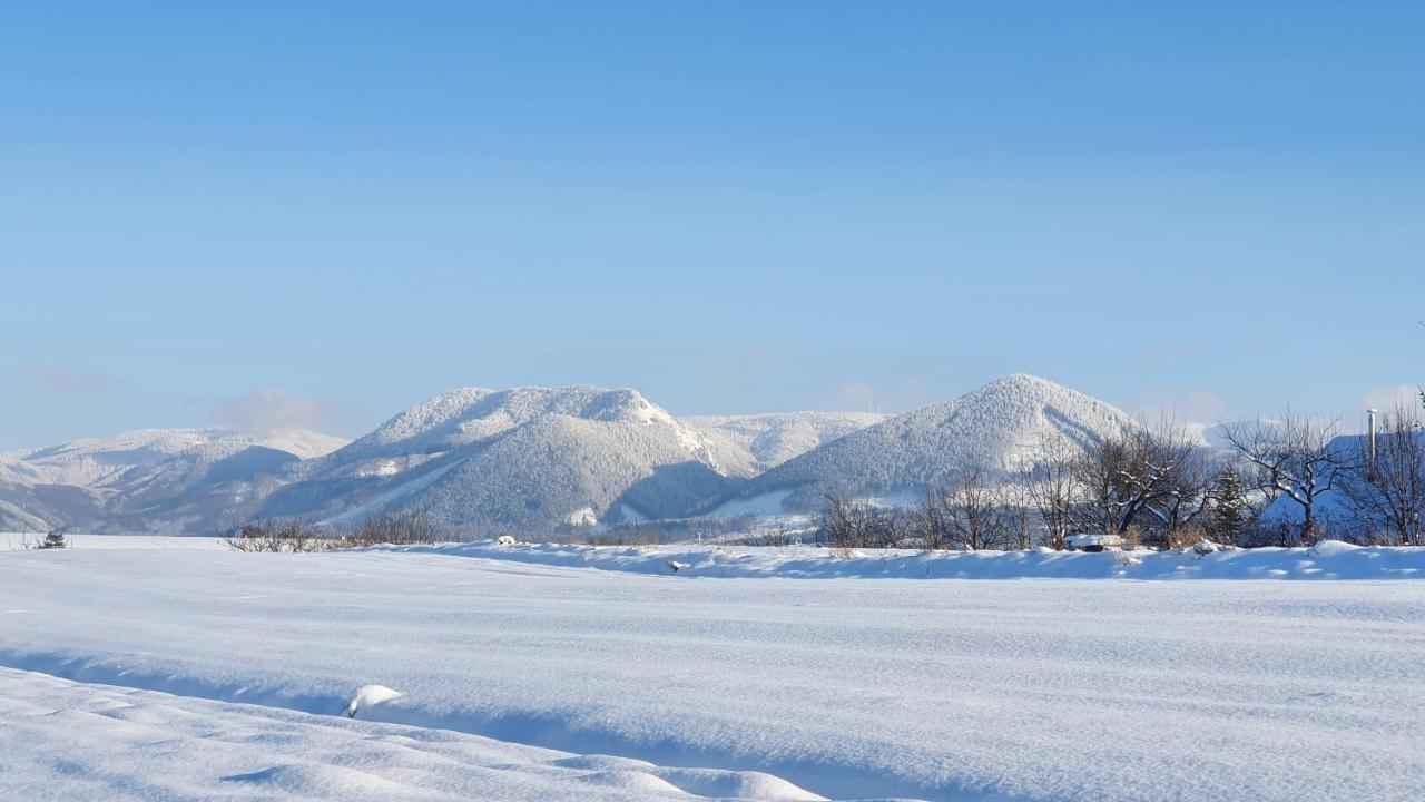 Vila Doliny Konská Exteriör bild